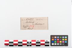 Etiketten zu Bronzekahnfibel (NHMW-PRAE-024377)